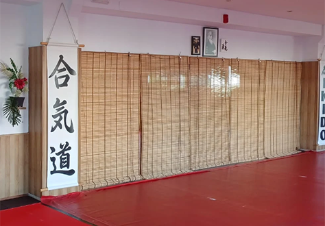 niños pracicando aikido