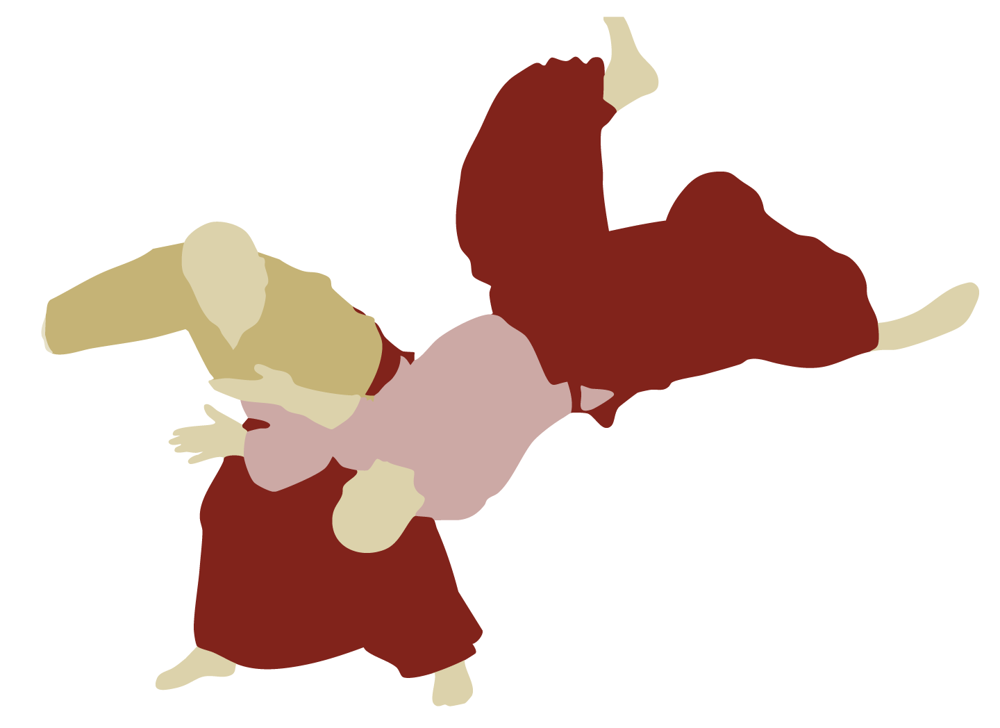 Imagen ilustrativa aleatoria