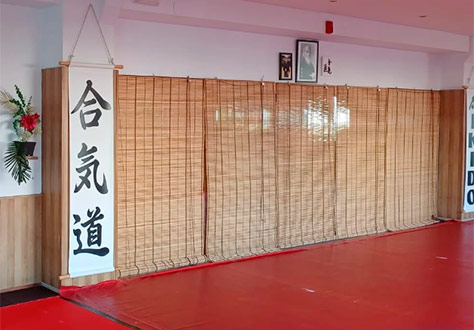 niños pracicando aikido